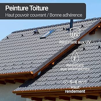 Peinture Toiture Fontainebleau - Après